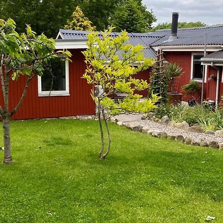 Med Udendors Pool Roslev